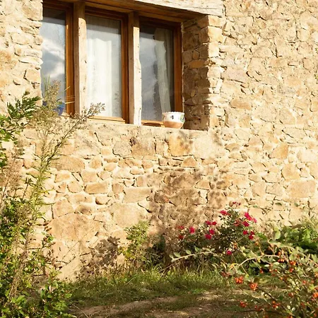 La Maison Du Jardin Interieur Nature Immersion *
