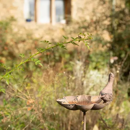 La Maison Du Jardin Interieur Nature Immersion Πανσιόν Drulhe
